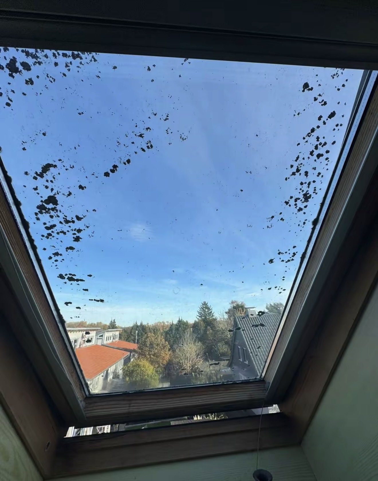 Grundreinigung vorher