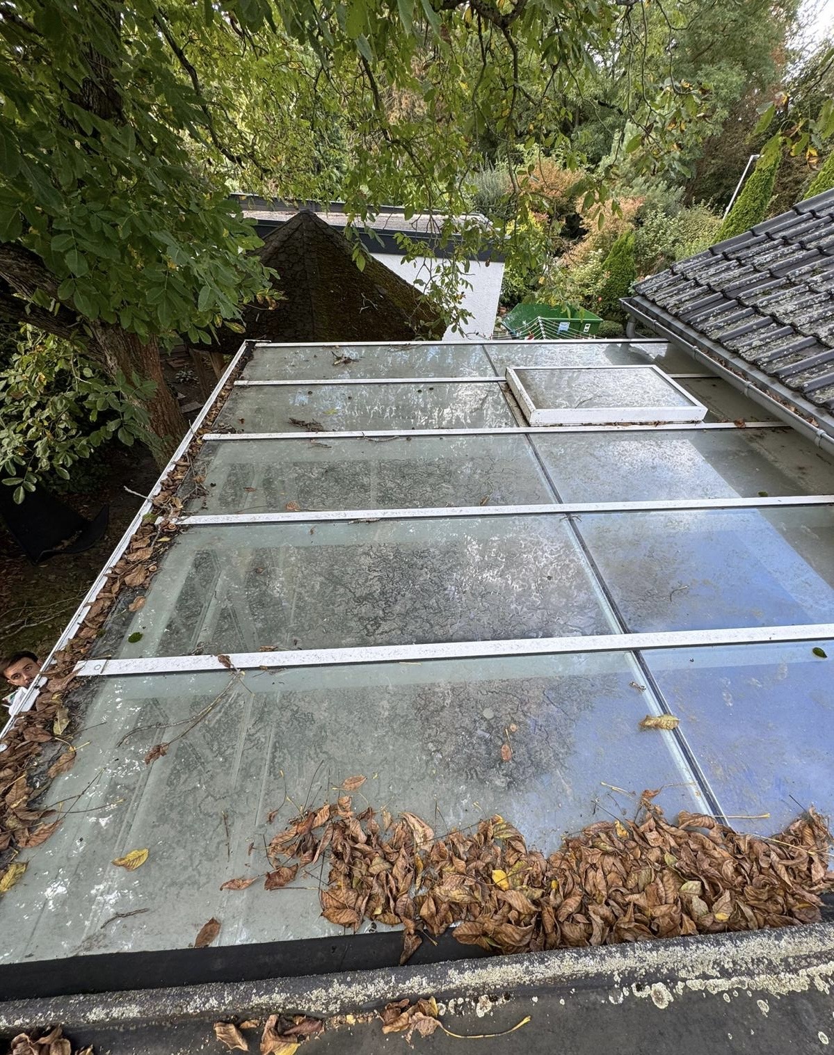 Sonderreinigung vorher